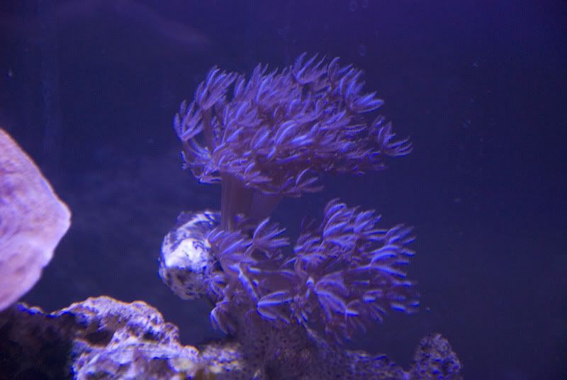 DSC_4285.jpg