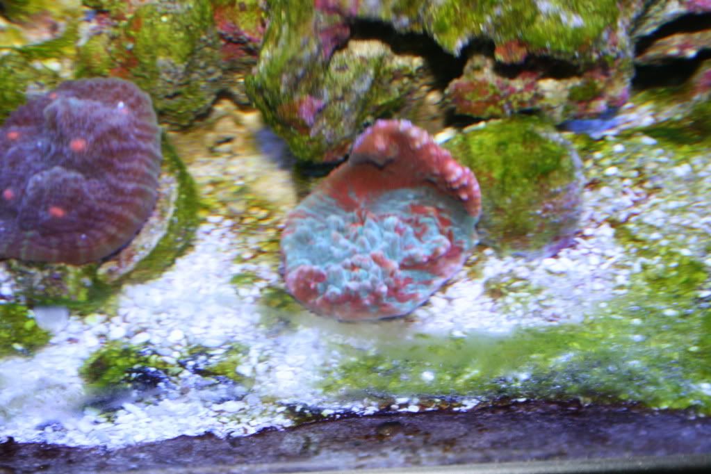 IMG_7868.jpg