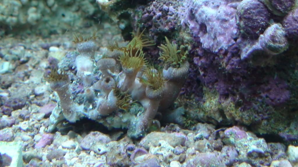 DSC00402.jpg