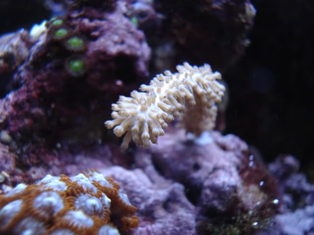 DSC03527.jpg