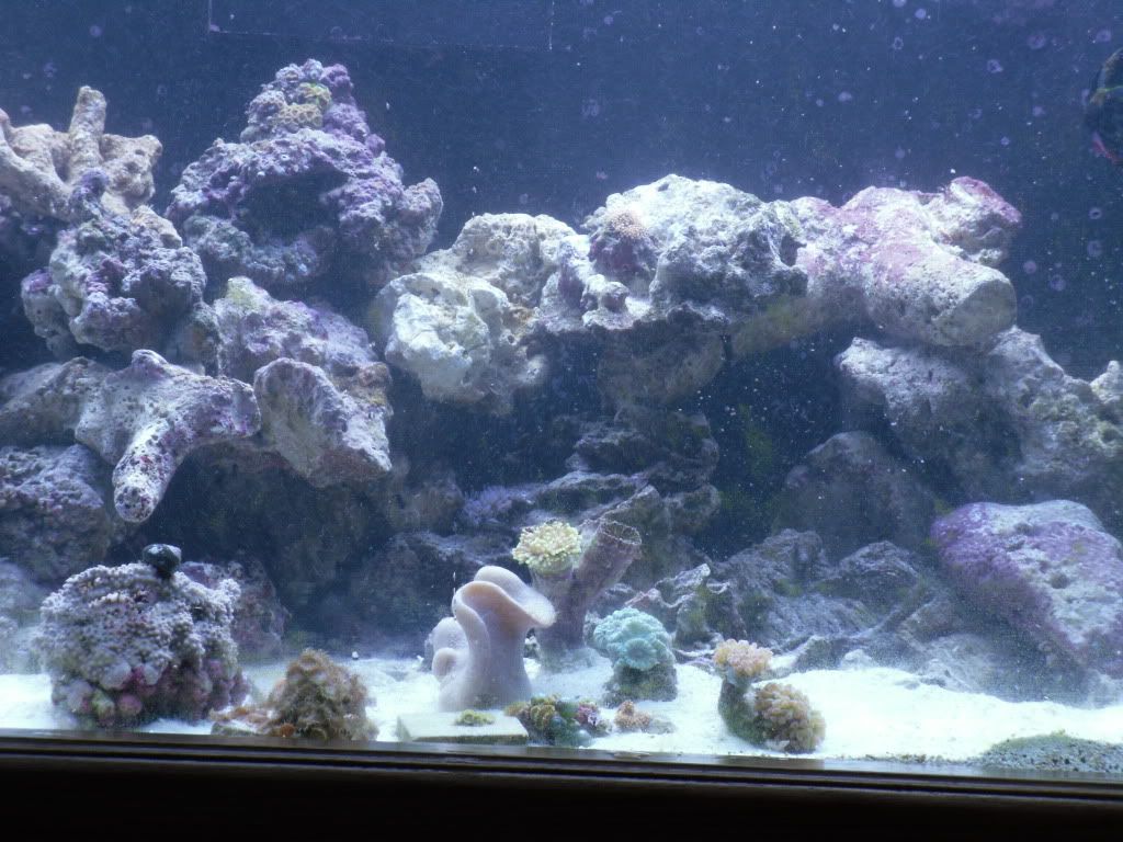 SDC10269.jpg