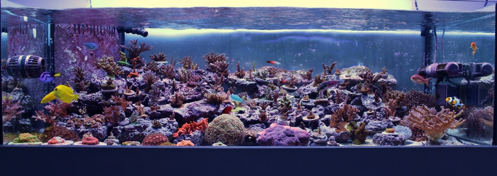 d404e8f12c20fab22fe10cfaa46db029.jpg