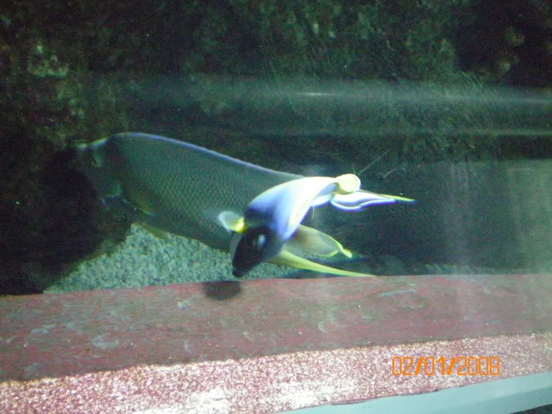 100_0120.jpg