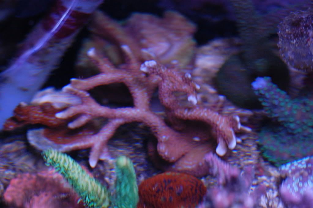 DSC_0230.jpg