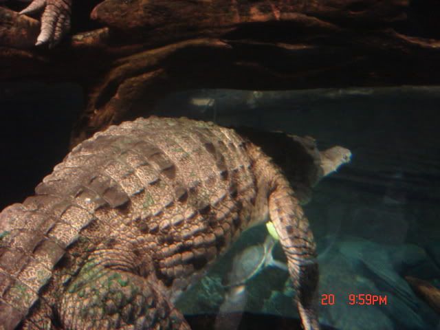 DSC01492.jpg