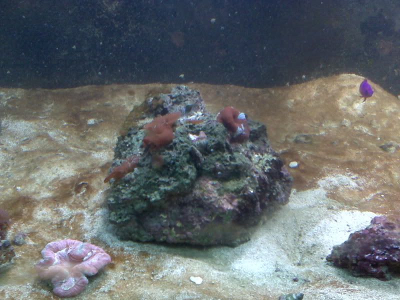fish3.jpg