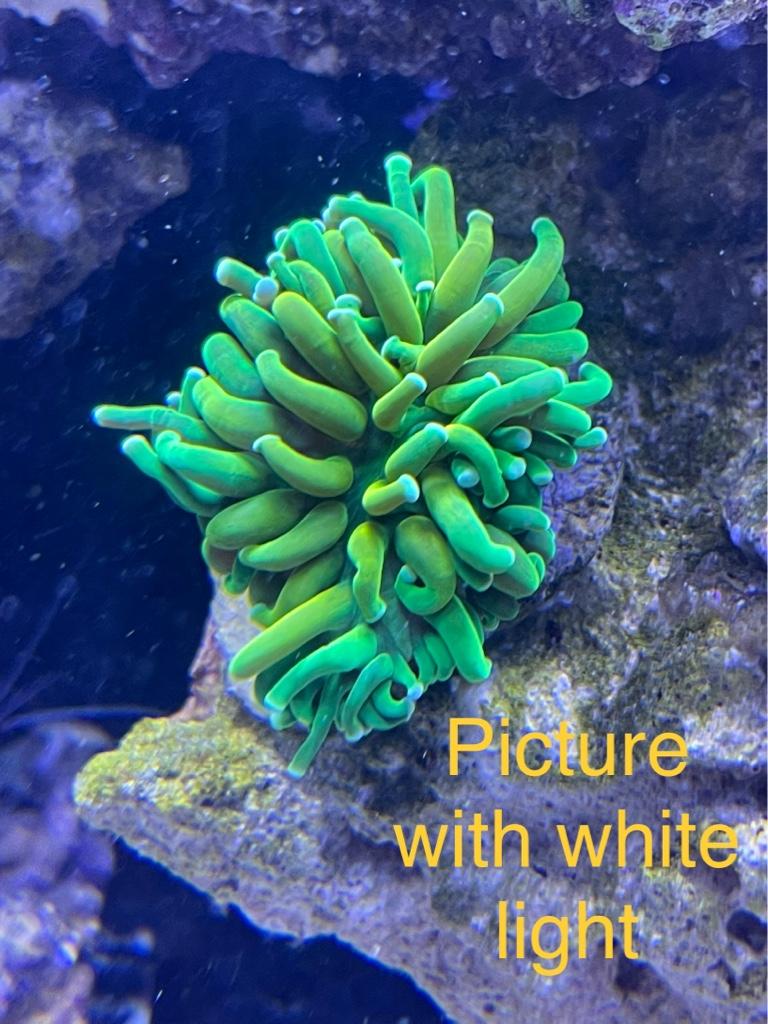 931861b3564bf2719b4d7e0d35dba49d.jpg