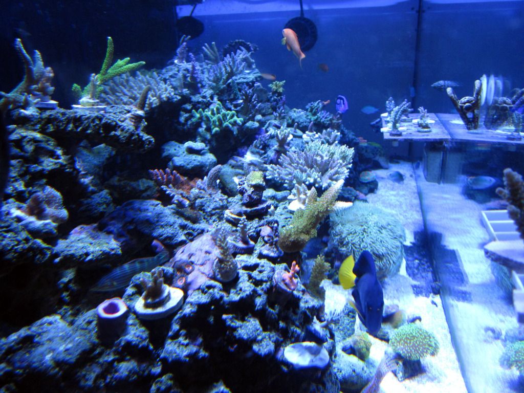 IMG_0721.jpg