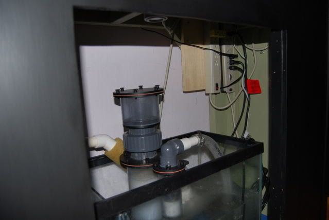 DSC_0003.jpg