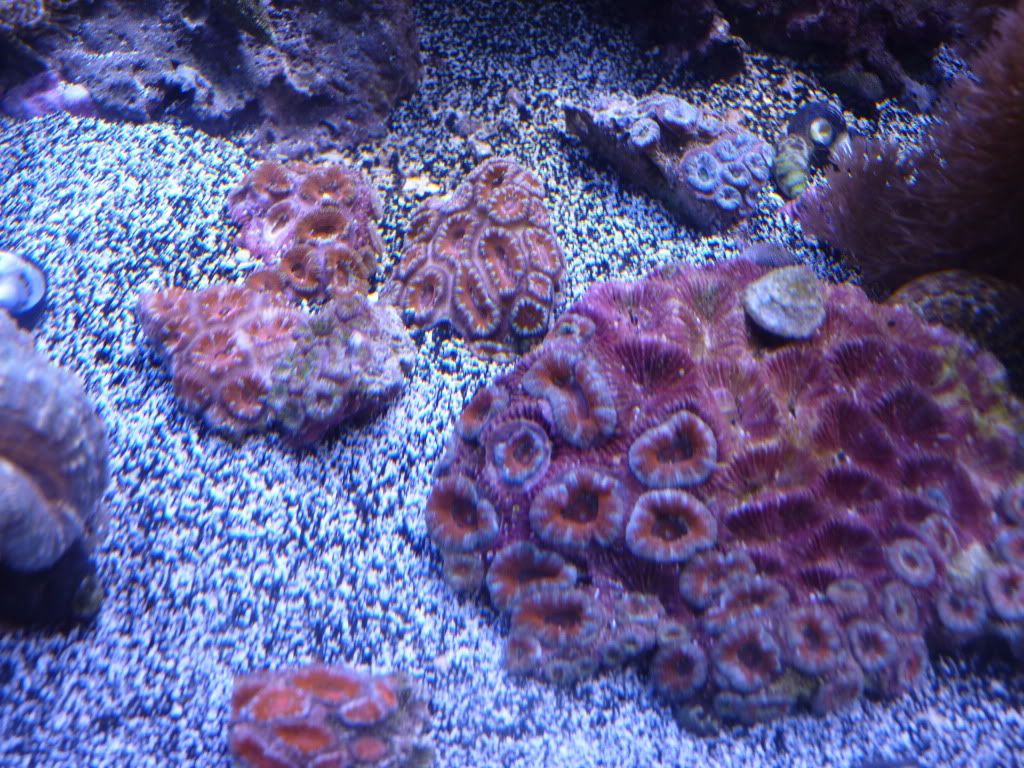 P1070431.jpg