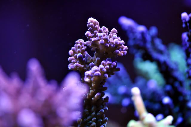 DSC_0628_edited.jpg