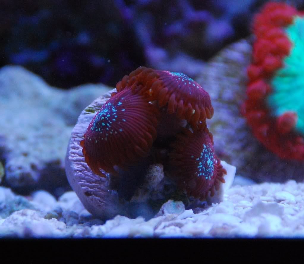 DSC_1179.jpg