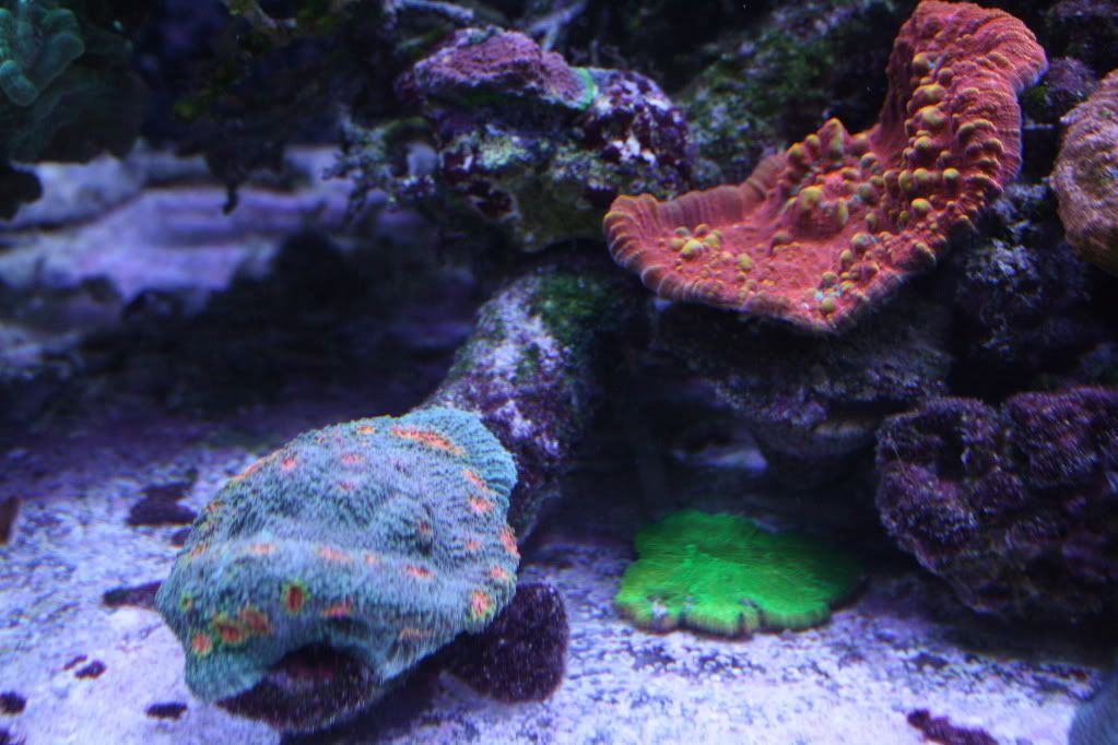 IMG_7886.jpg