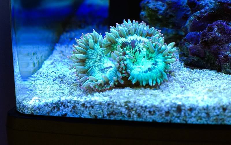 DSC_3625.jpg