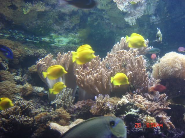 DSC01415.jpg