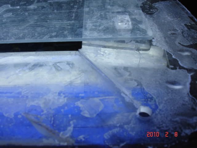 DSC03156.jpg