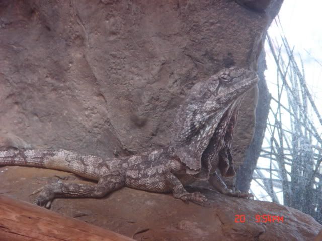 DSC01483.jpg