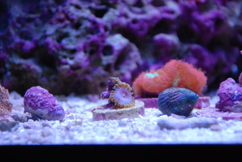 DSC_1315.jpg