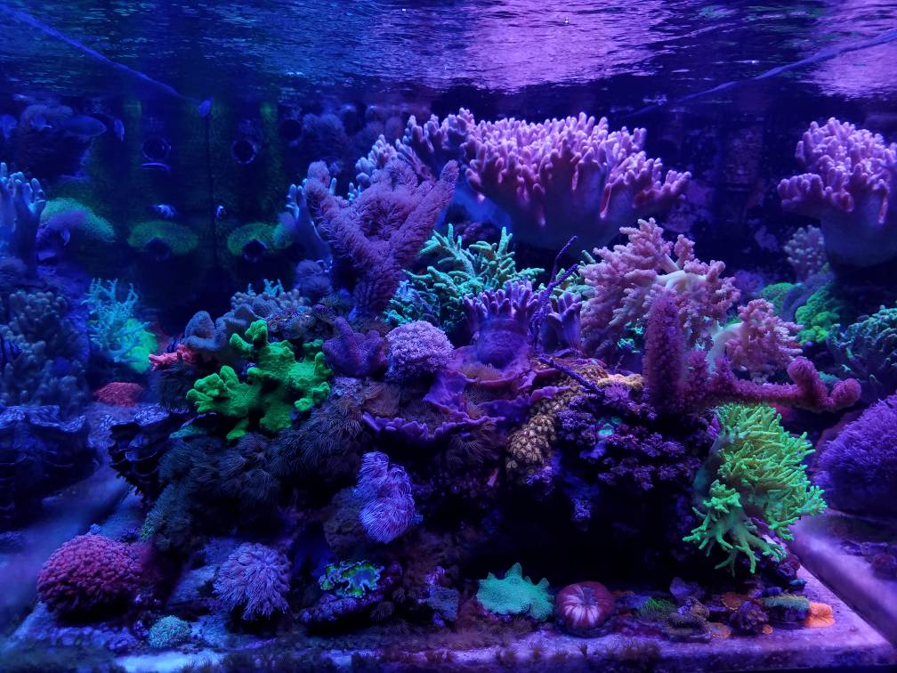 2019d38e94e84b64f4d5d86671757516.jpg