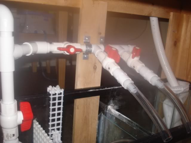 manifold2.jpg