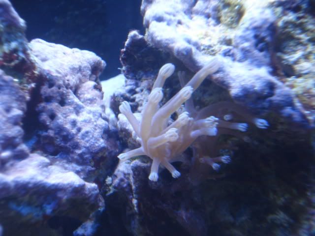 DSC03876.jpg