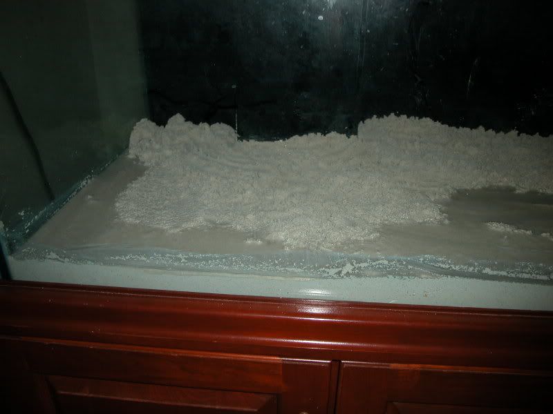 DSCN2552.jpg