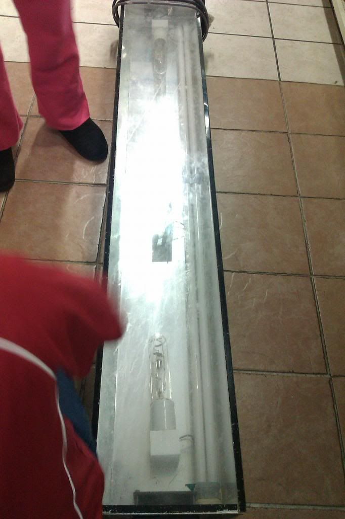 IMAG0356_zps2e27d758.jpg