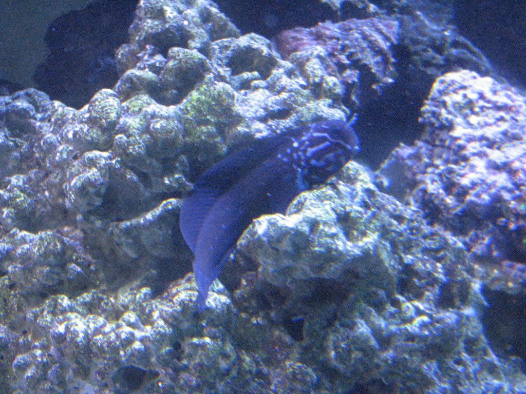 IMG_1529.jpg