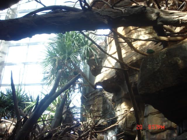 DSC01487.jpg