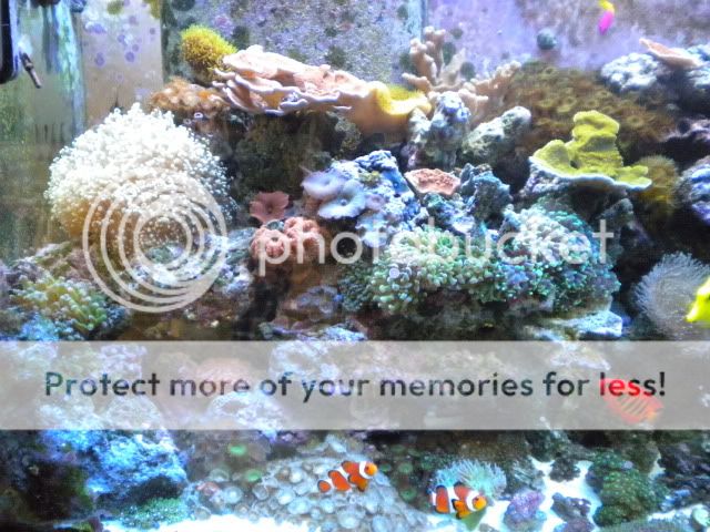 DSCN1429.jpg