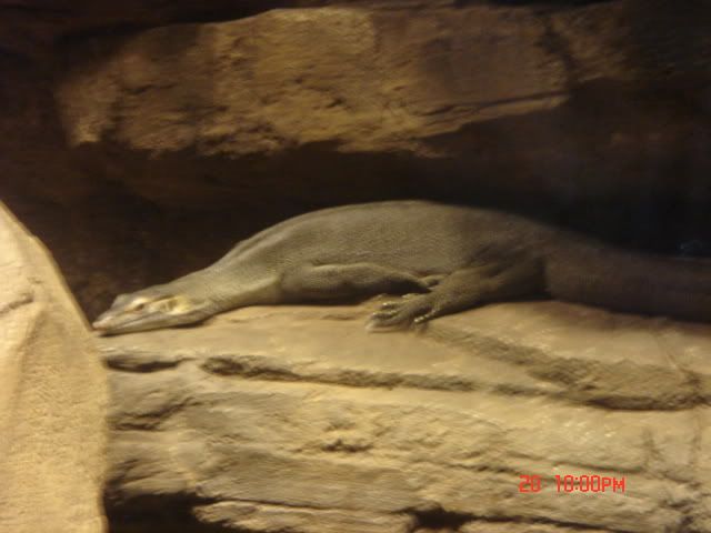 DSC01496.jpg