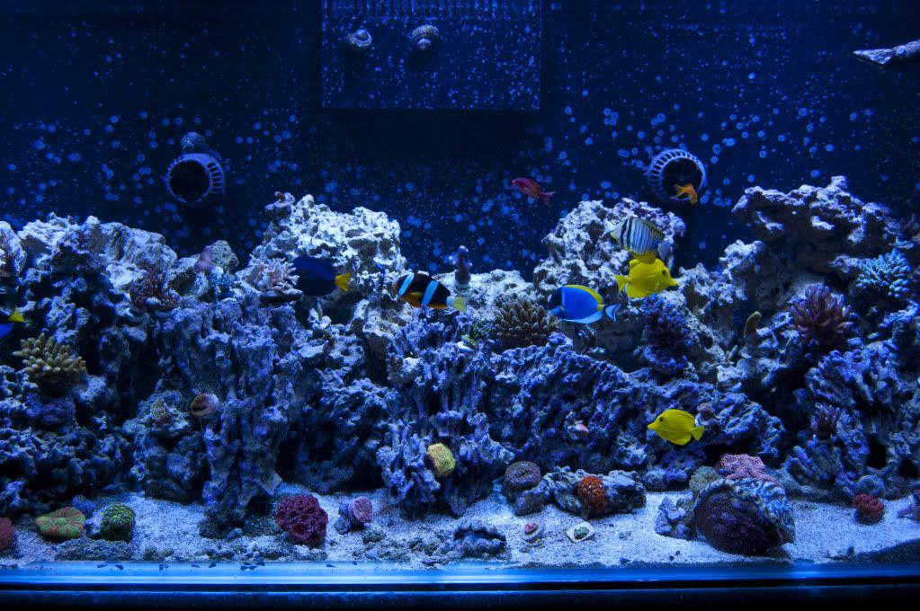 DSC_0050.jpg