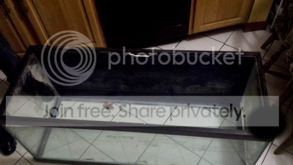 20131113_224949-1.jpg