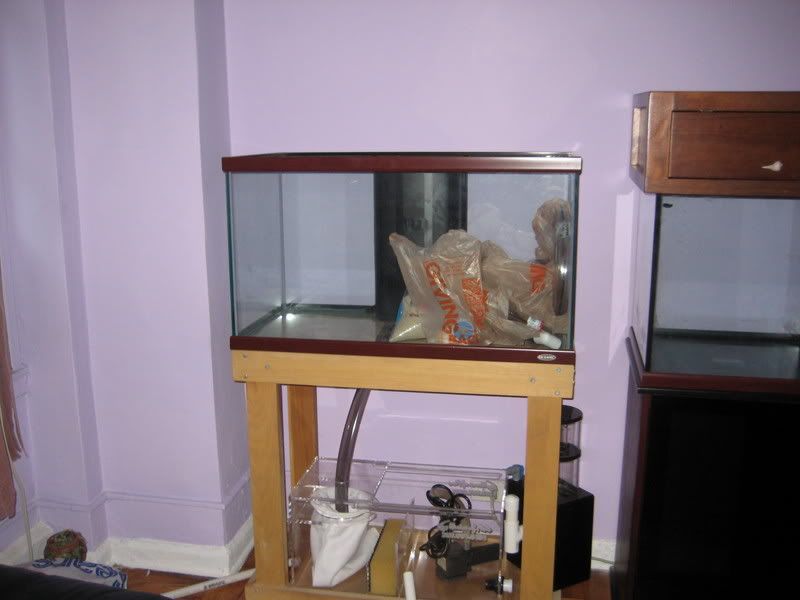 IMG_0315.jpg
