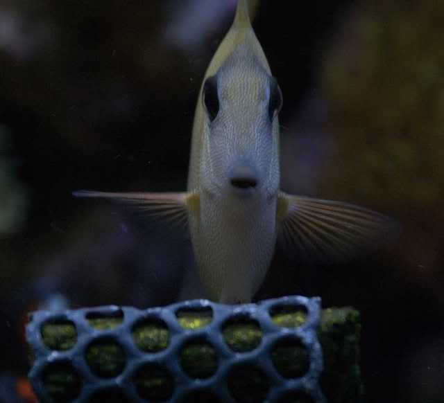 65g_009.jpg