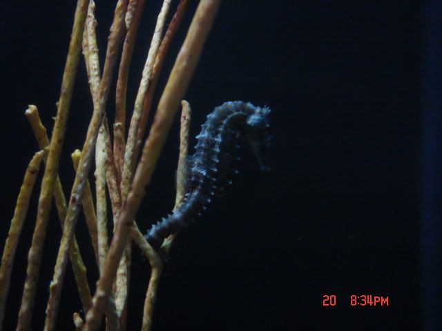 DSC01378.jpg