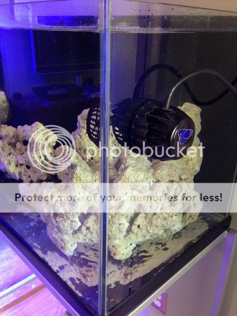 photo3_zps50d1cdd7.jpg