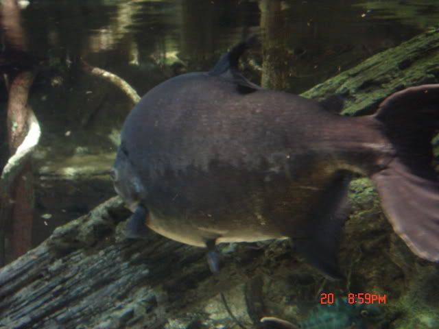 DSC01429.jpg