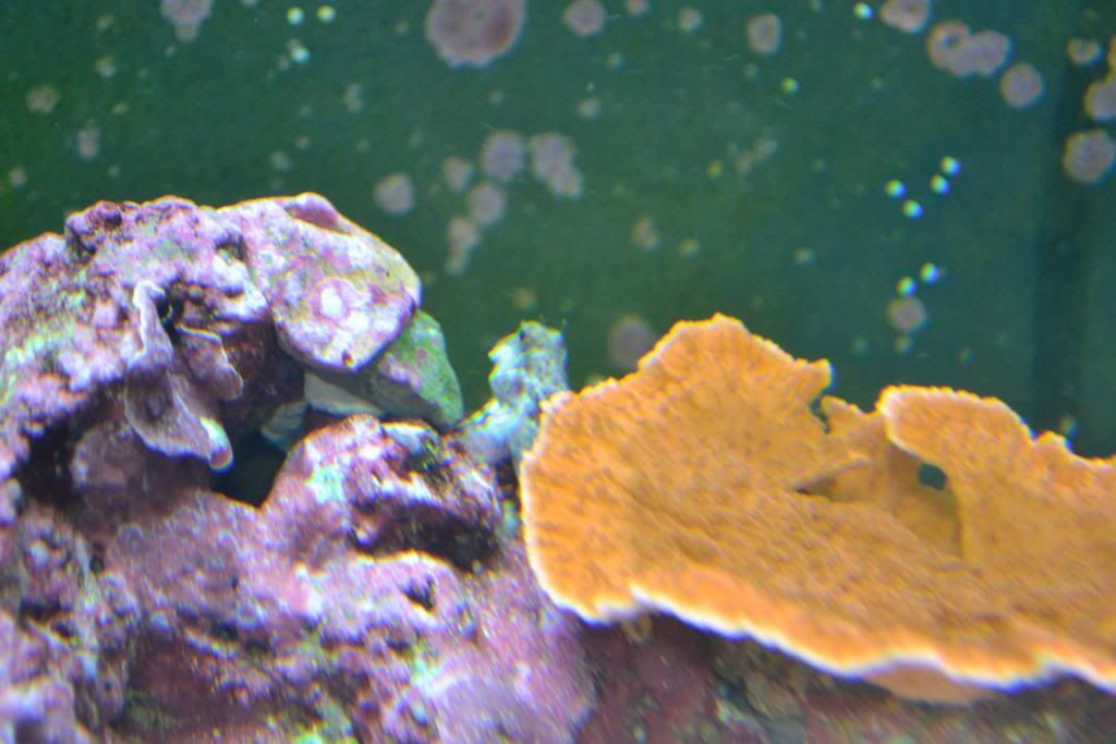 DSC_0031.jpg