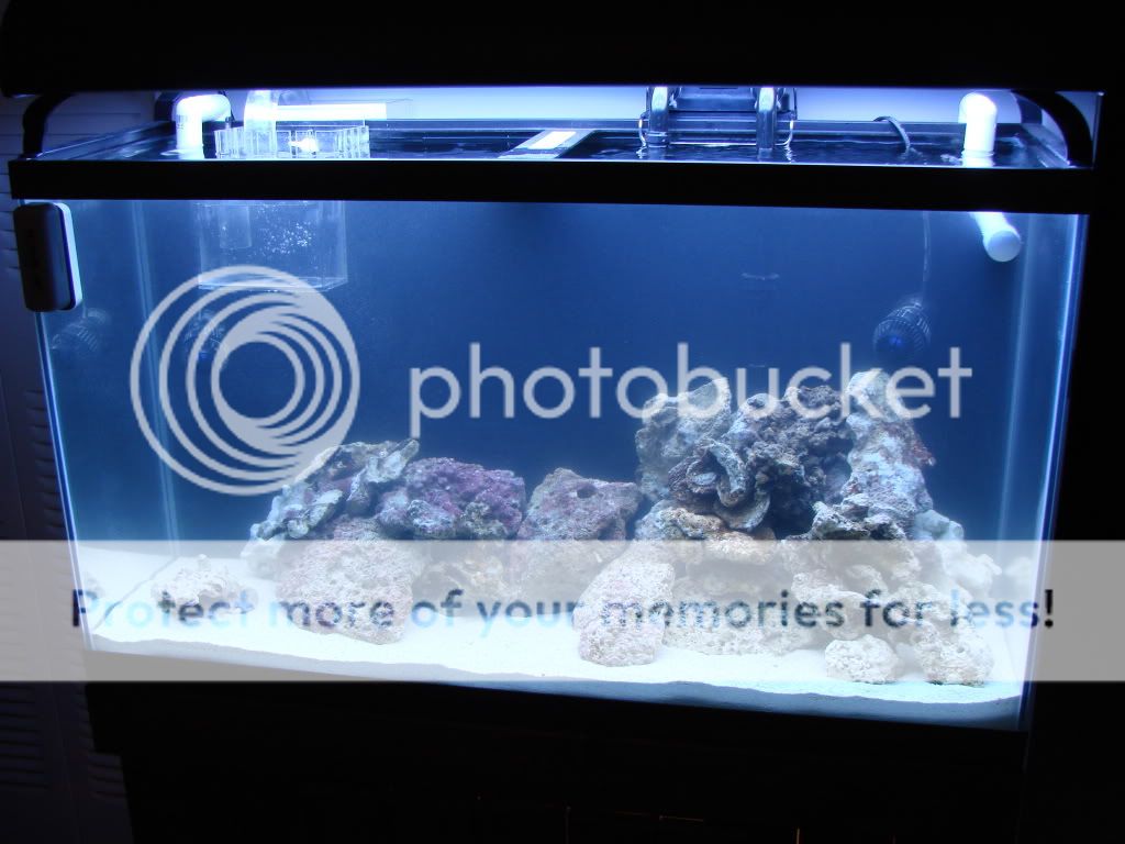 DSC09614-1.jpg