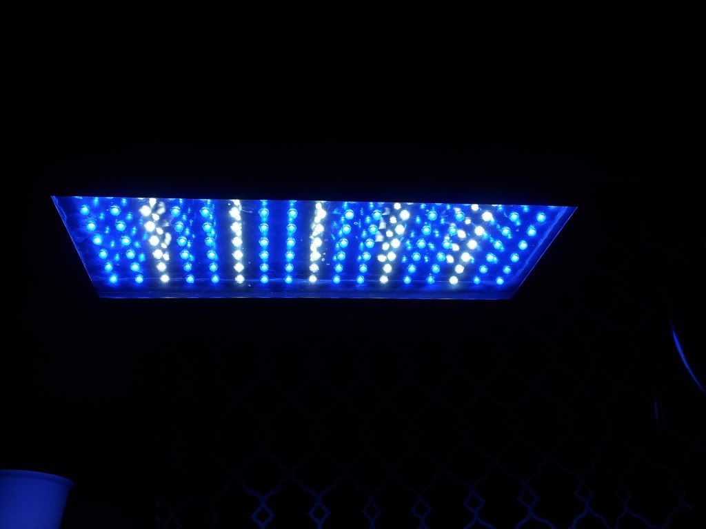 2012-01-30200300.jpg