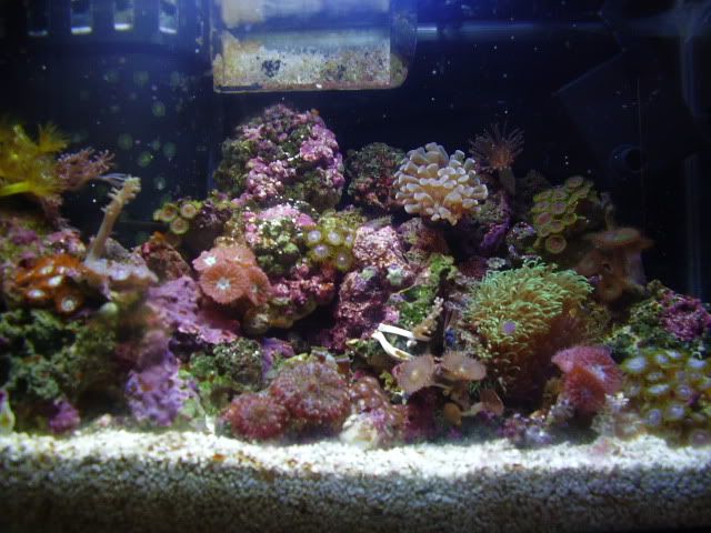 P9140378.jpg