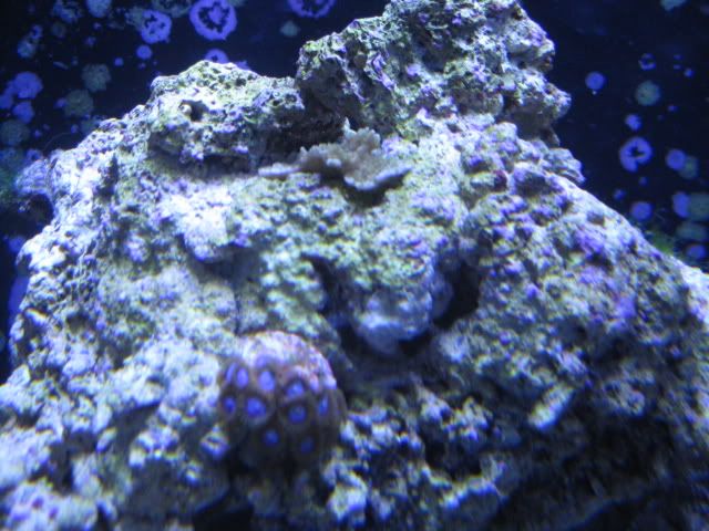 IMG_0319.jpg