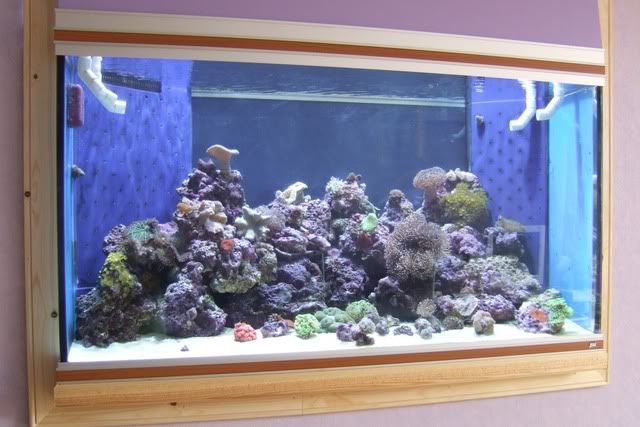 Tank10-8-08.jpg