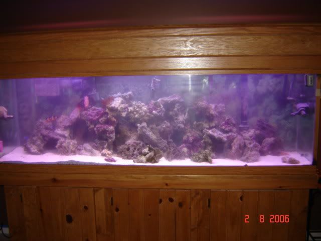 DSC00852.jpg