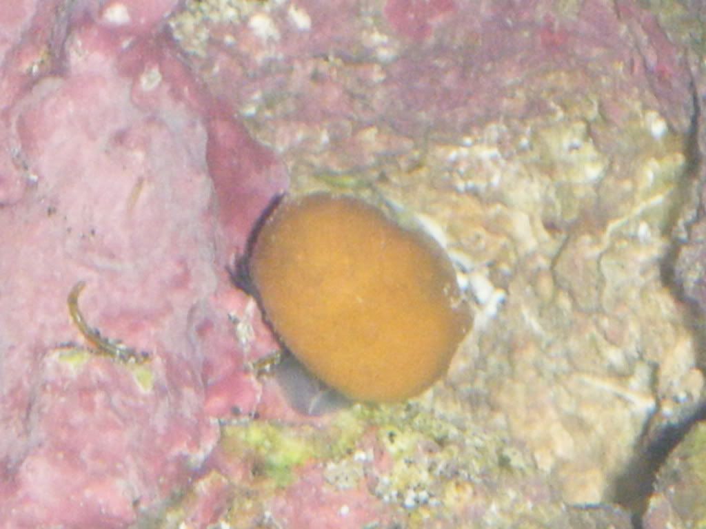 DSCF0330.jpg