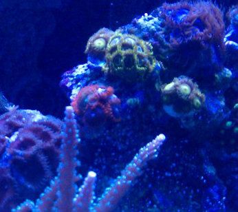 IMAG0797-2.jpg