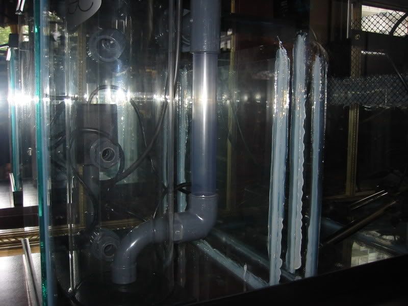 114-1467_IMG.jpg