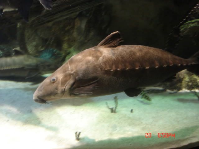 DSC01428.jpg