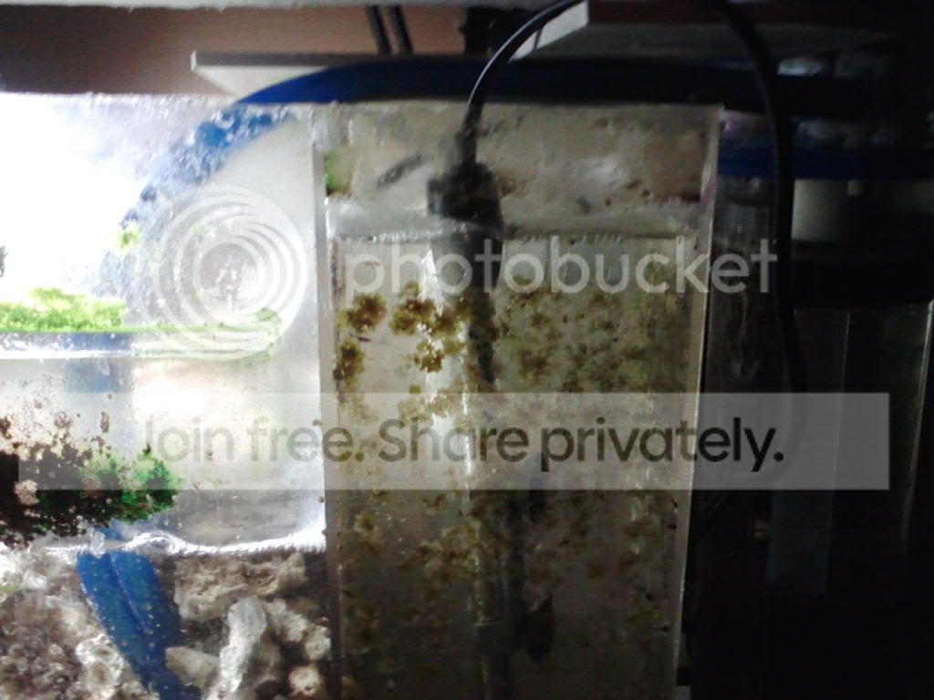 sump5.jpg
